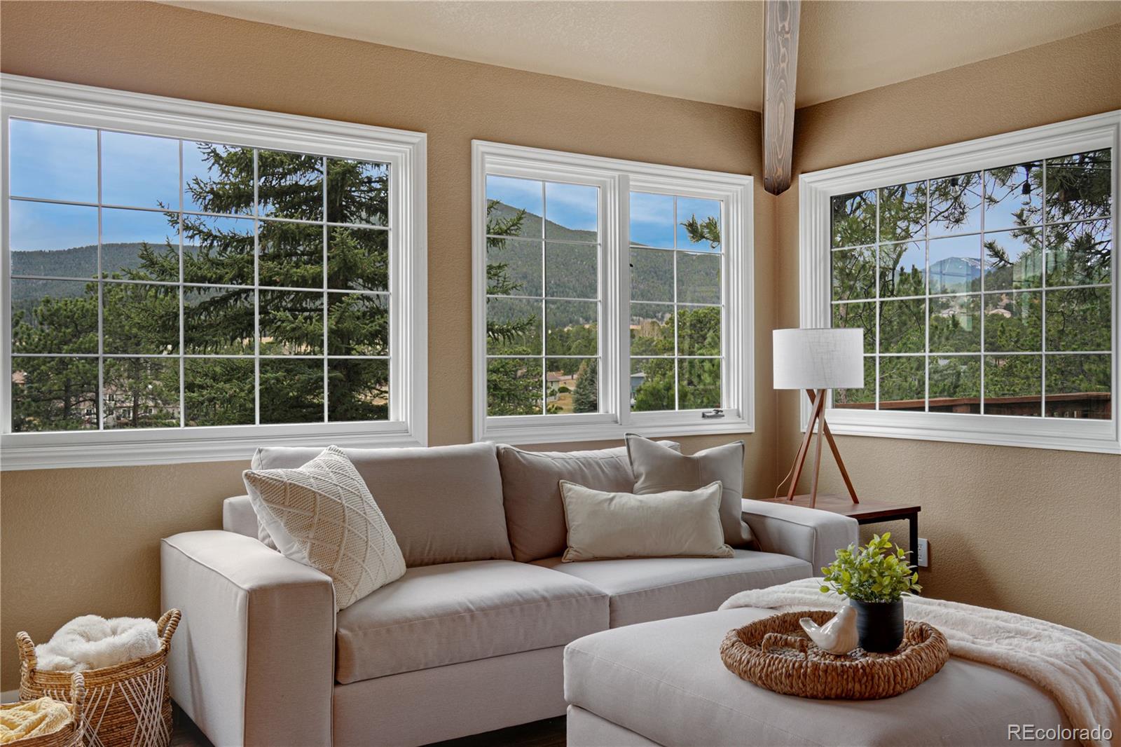 MLS Image #4 for 31385  burn lane,evergreen, Colorado