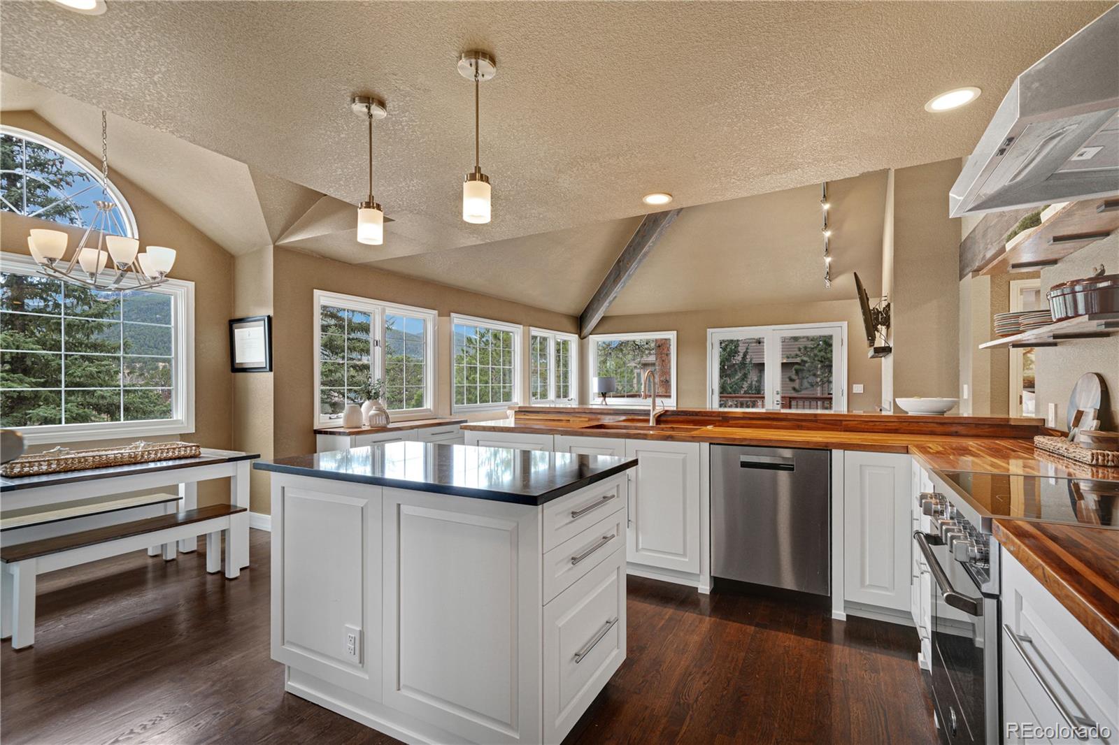 MLS Image #6 for 31385  burn lane,evergreen, Colorado