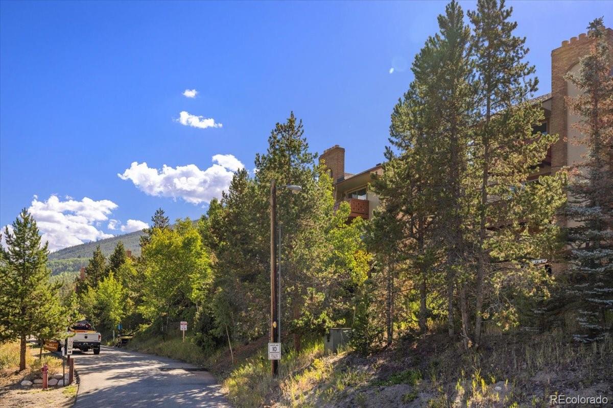 MLS Image #22 for 110  evergreen road,dillon, Colorado