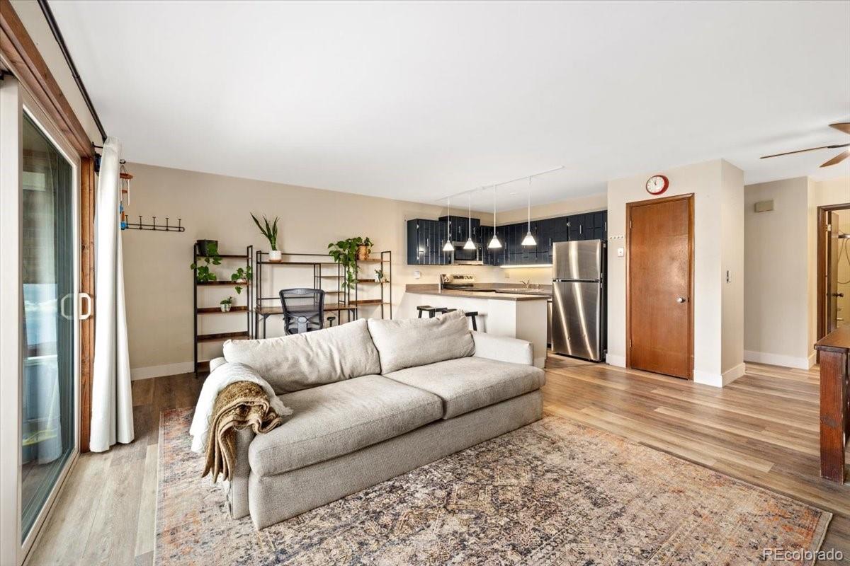 MLS Image #5 for 110  evergreen road,dillon, Colorado