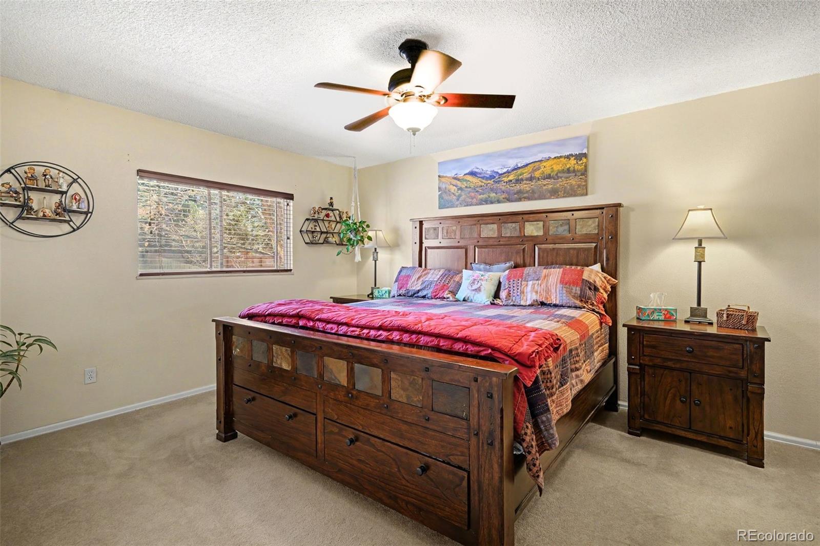 MLS Image #14 for 11528  hot springs drive,parker, Colorado