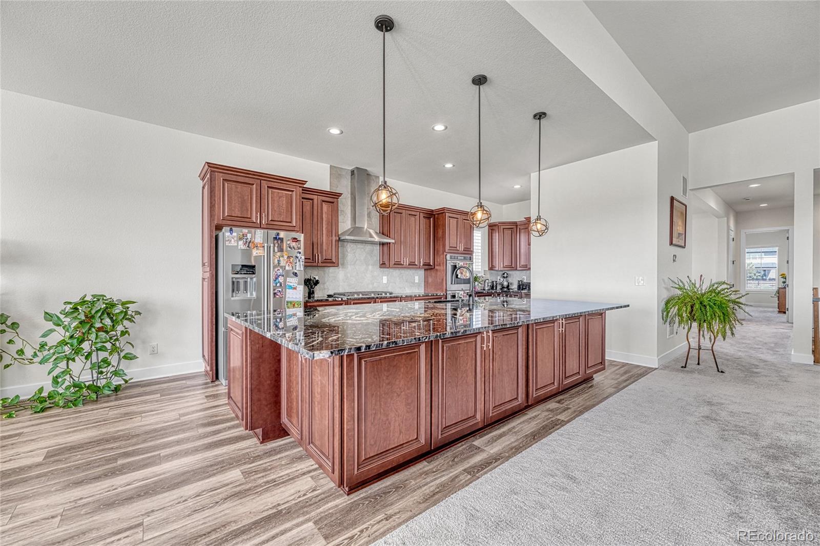 MLS Image #10 for 3656  backslope lane,castle rock, Colorado