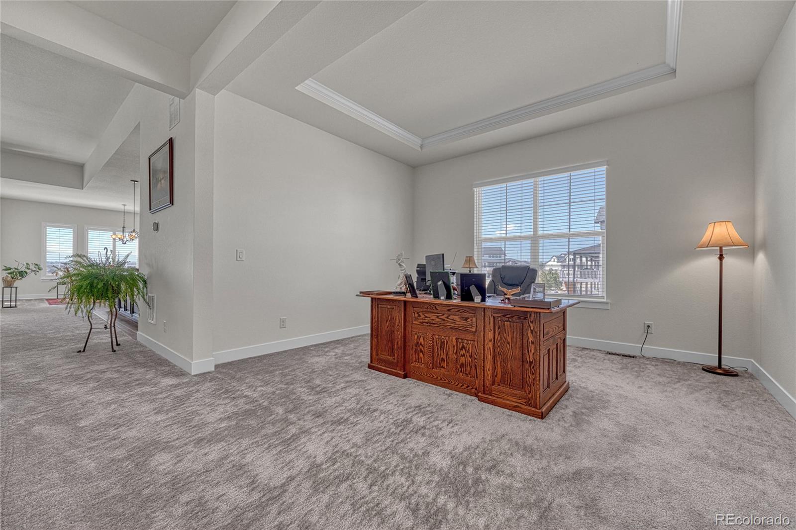 MLS Image #19 for 3656  backslope lane,castle rock, Colorado