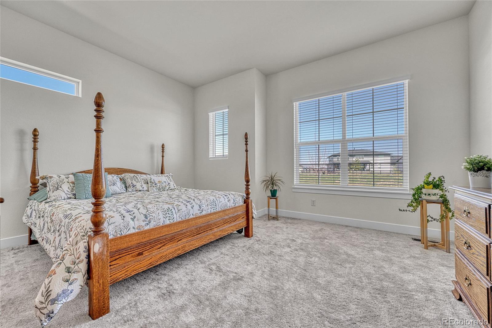 MLS Image #3 for 3656  backslope lane,castle rock, Colorado
