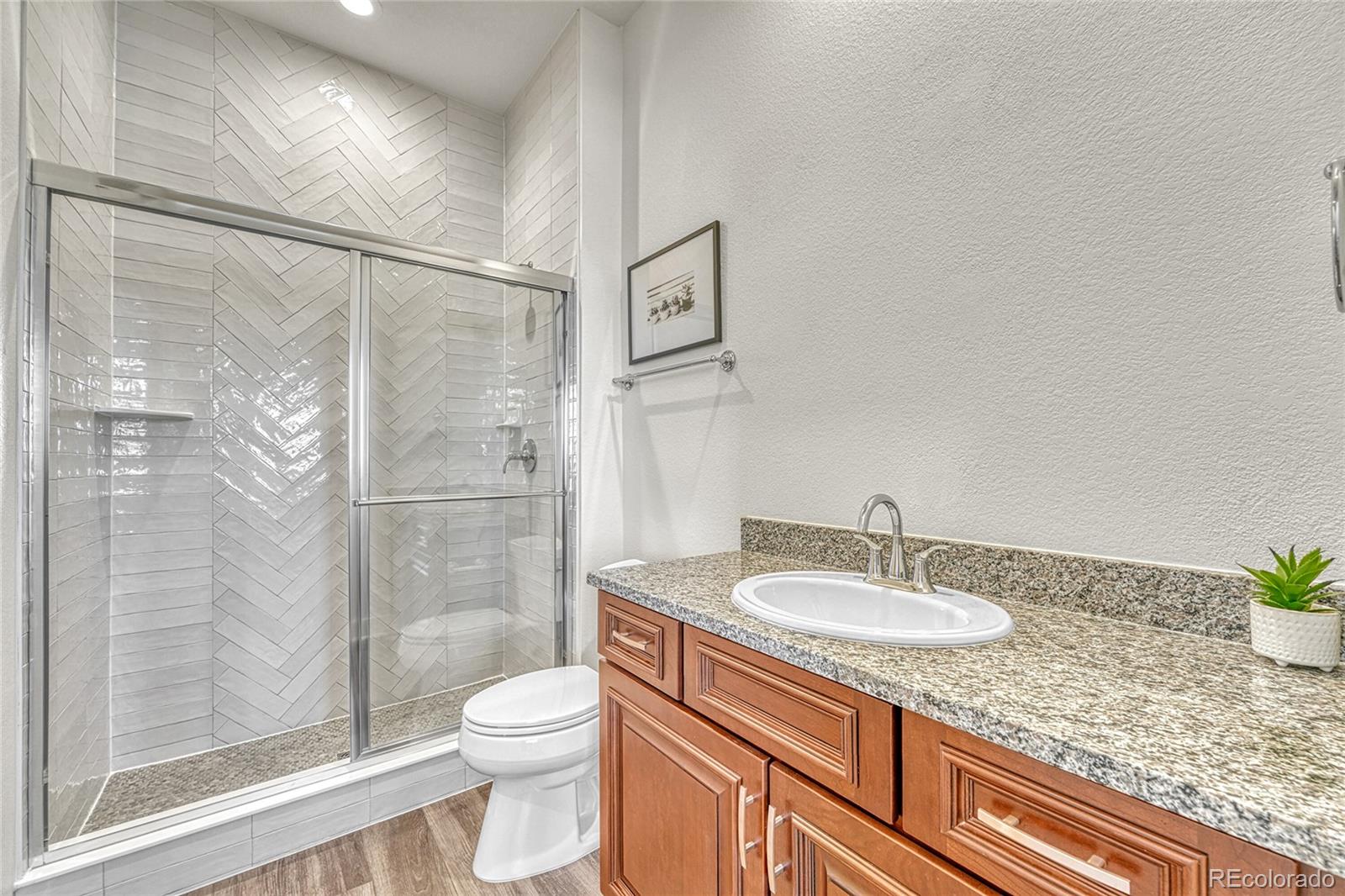 MLS Image #4 for 3656  backslope lane,castle rock, Colorado