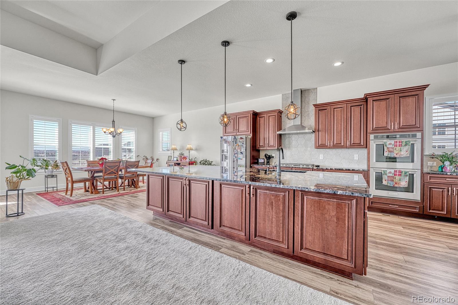 MLS Image #9 for 3656  backslope lane,castle rock, Colorado