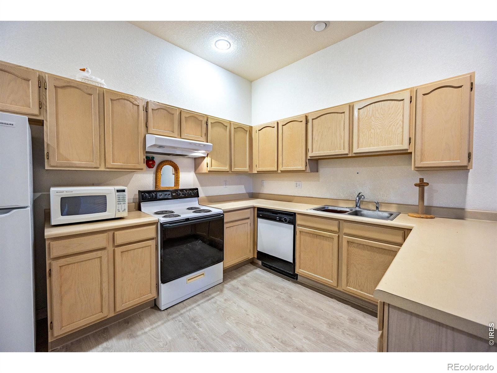 MLS Image #7 for 4500  seneca street,fort collins, Colorado