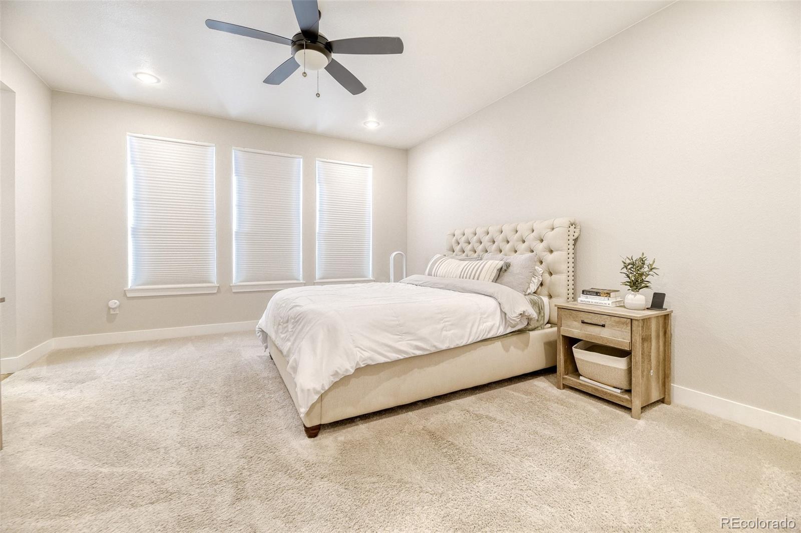 MLS Image #13 for 3966 n catawba way,aurora, Colorado