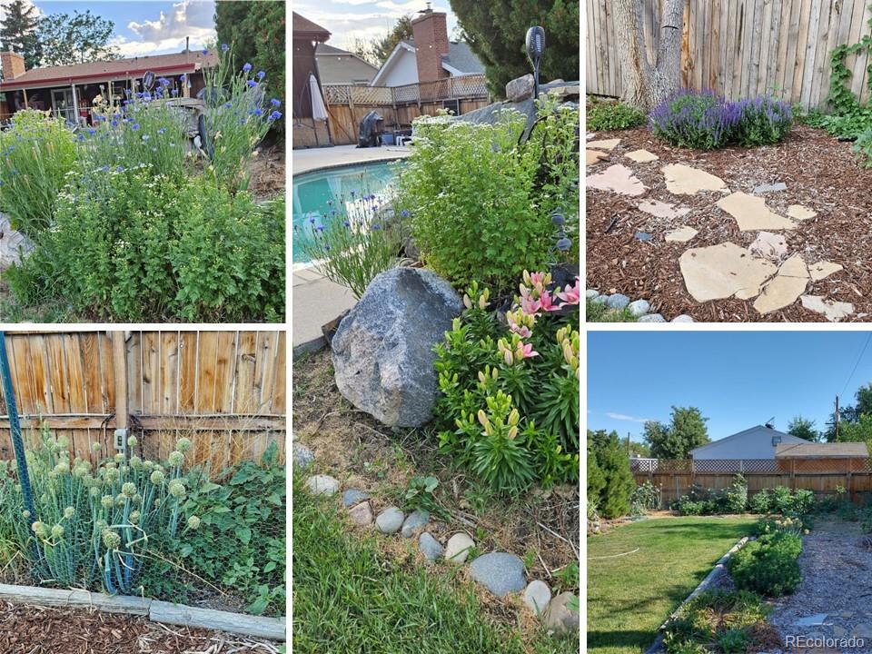 MLS Image #37 for 840  welch street,lakewood, Colorado