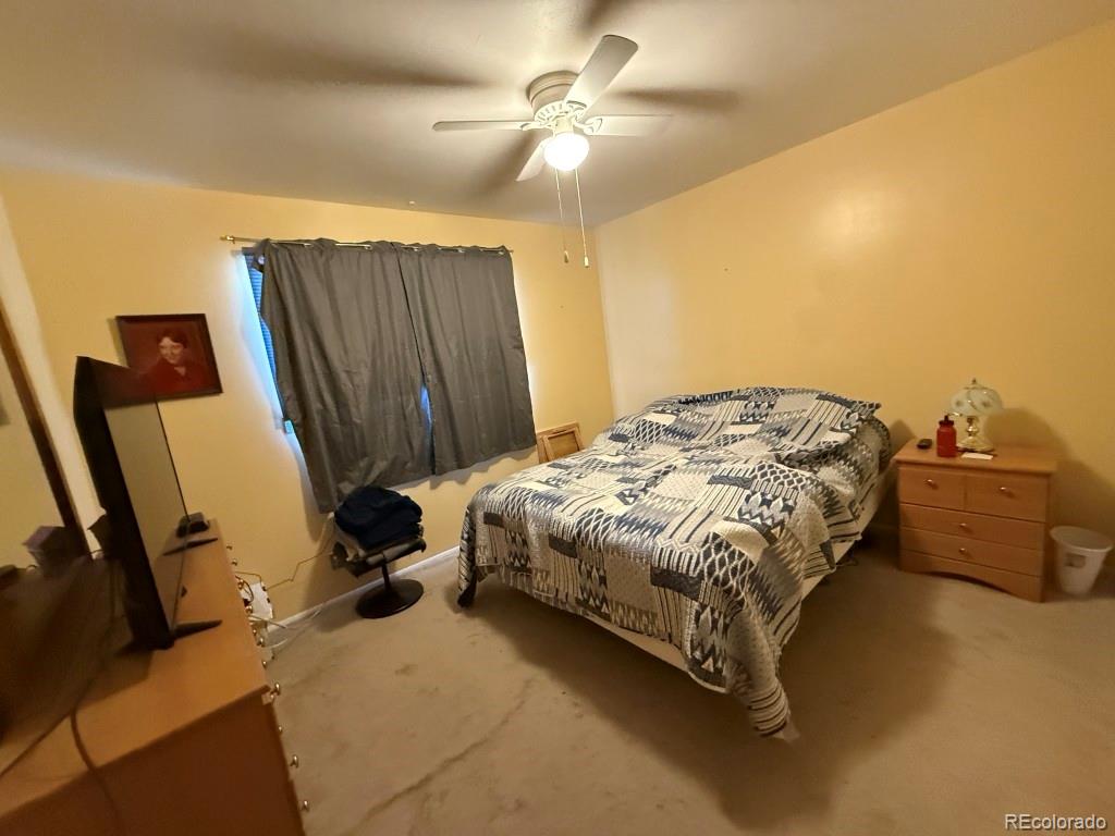 MLS Image #14 for 2932  azalea street,pueblo, Colorado