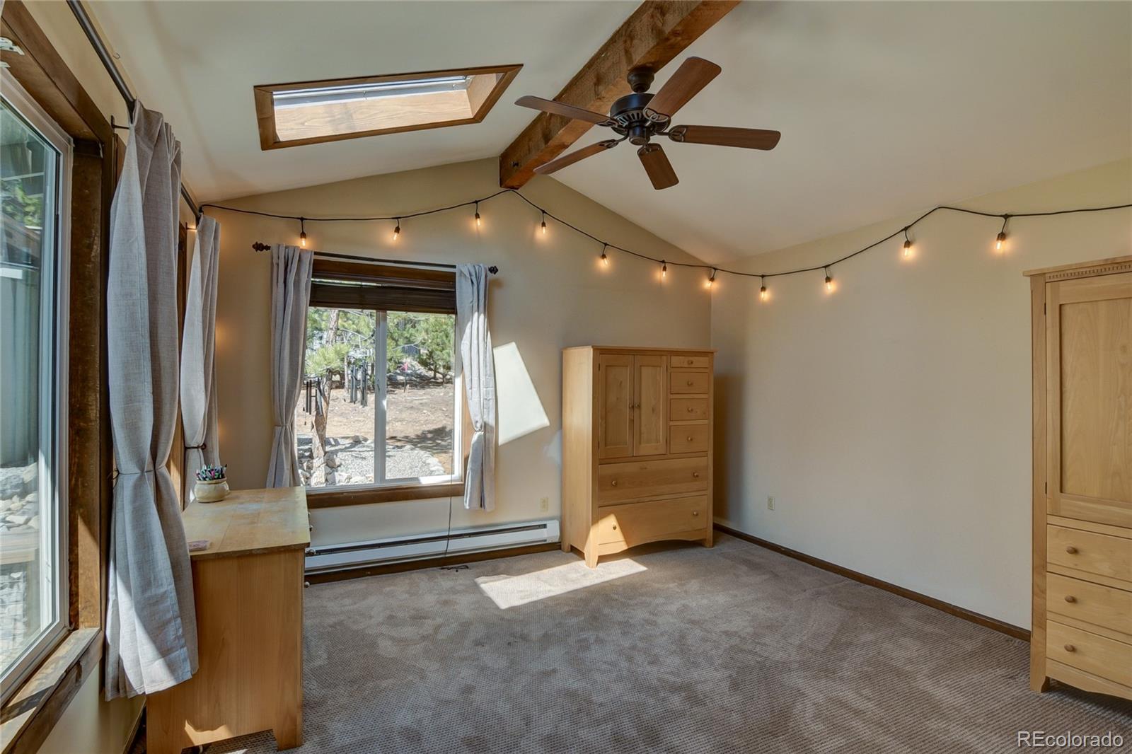 MLS Image #18 for 16525  mt. princeton road,buena vista, Colorado