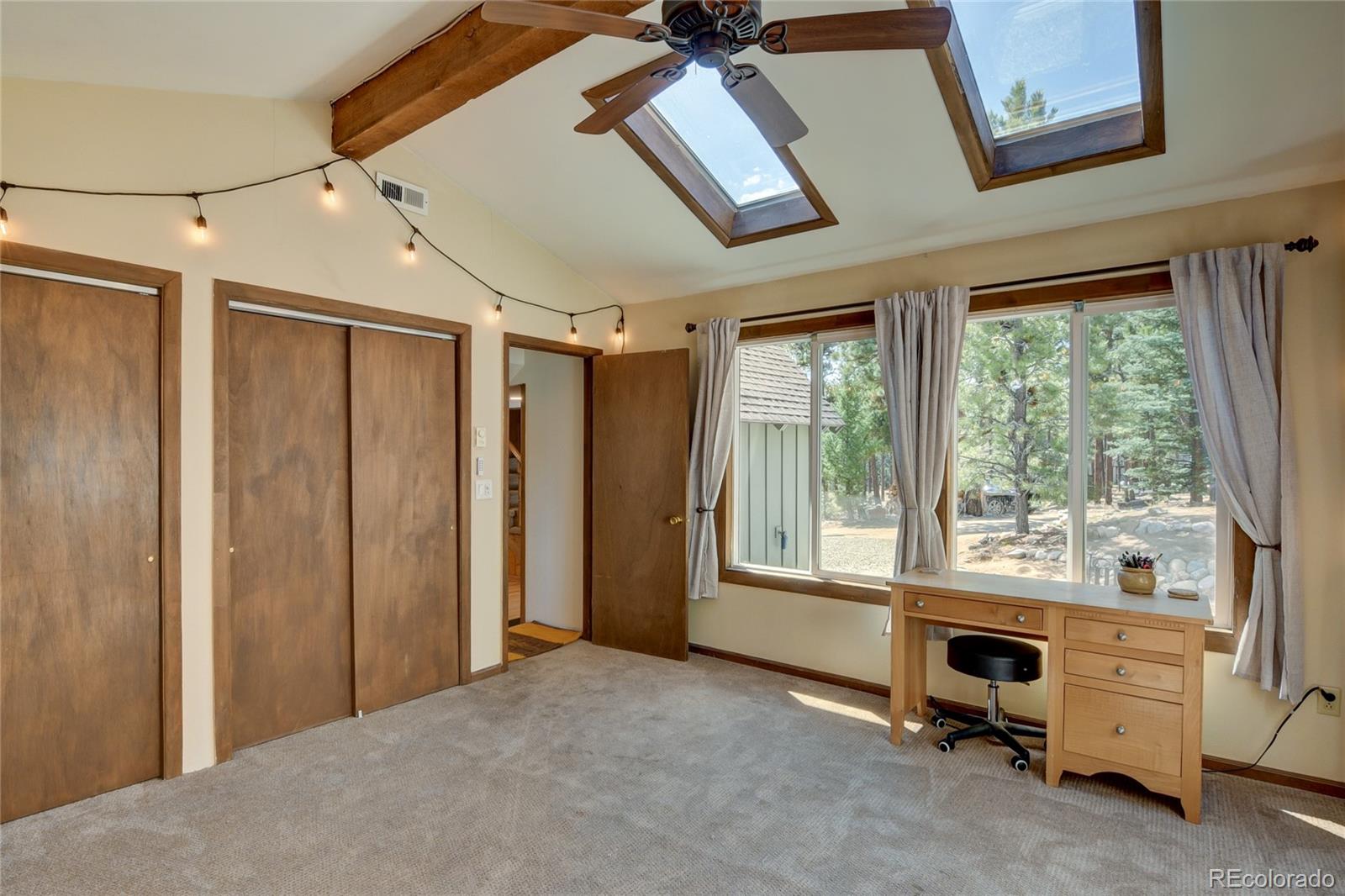 MLS Image #19 for 16525  mt. princeton road,buena vista, Colorado