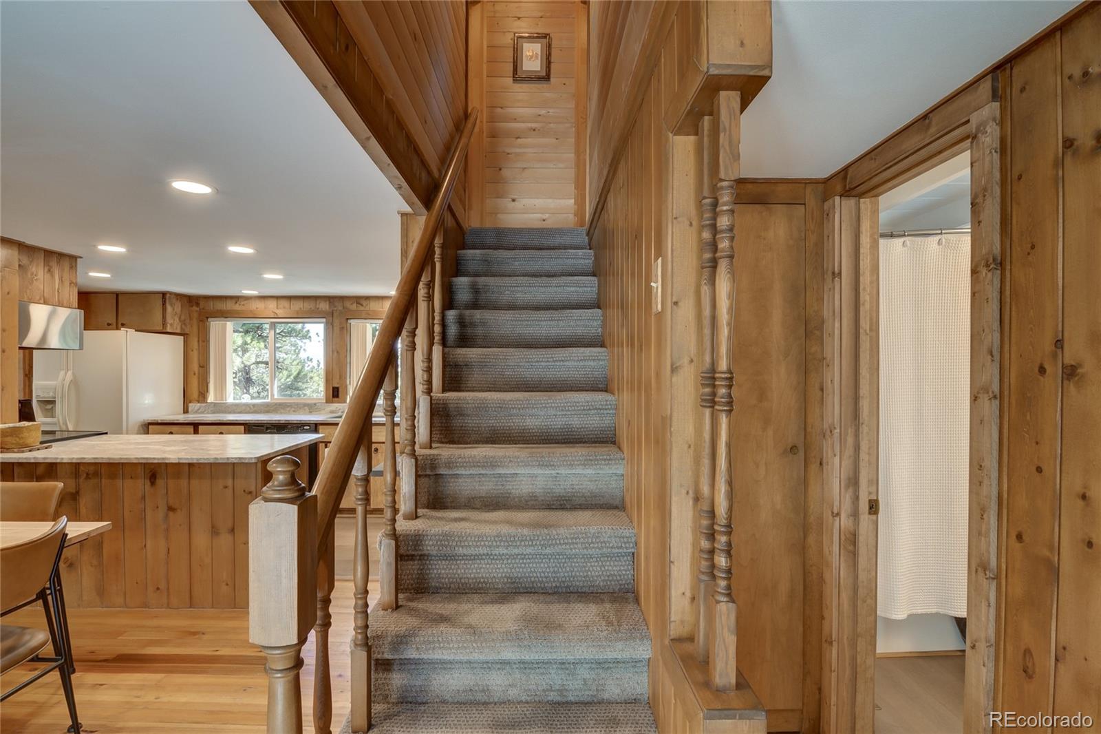MLS Image #26 for 16525  mt. princeton road,buena vista, Colorado