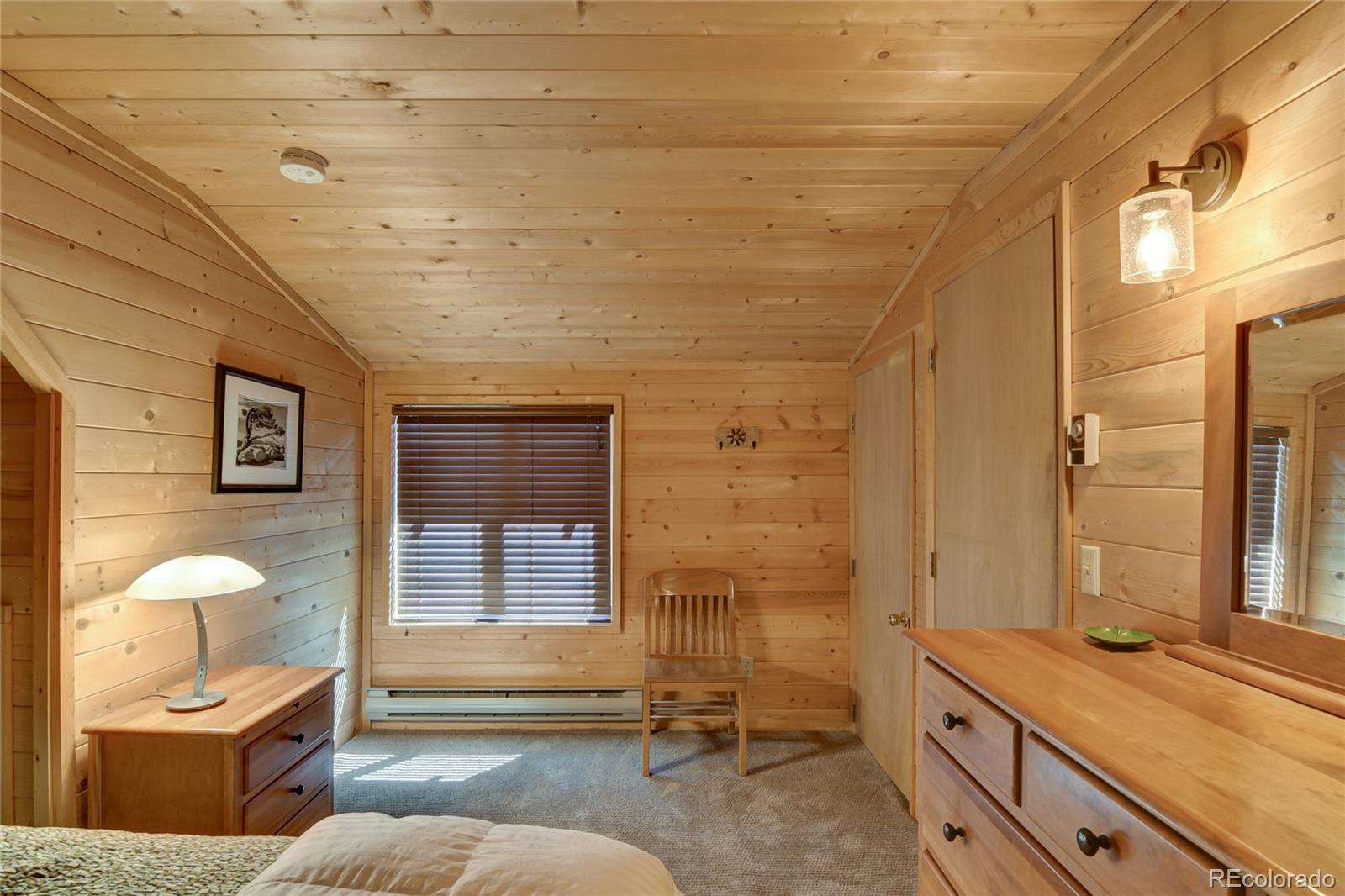 MLS Image #29 for 16525  mt. princeton road,buena vista, Colorado