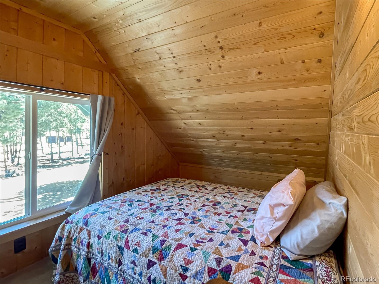 MLS Image #30 for 16525  mt. princeton road,buena vista, Colorado