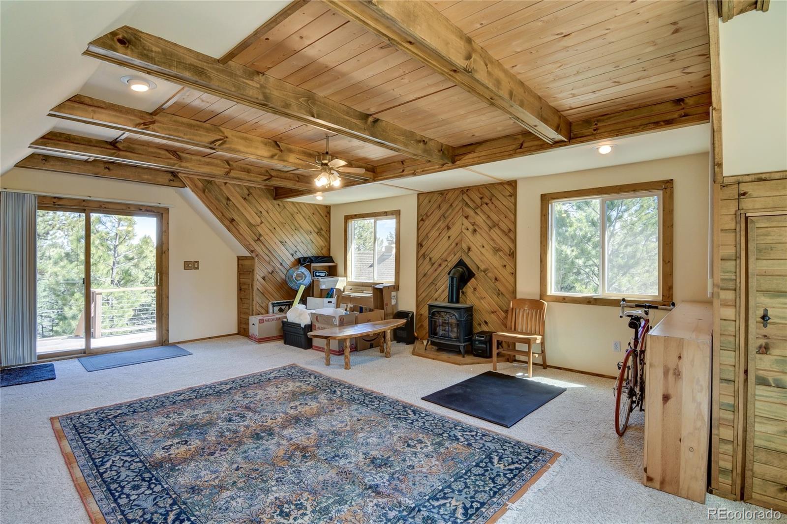 MLS Image #37 for 16525  mt. princeton road,buena vista, Colorado