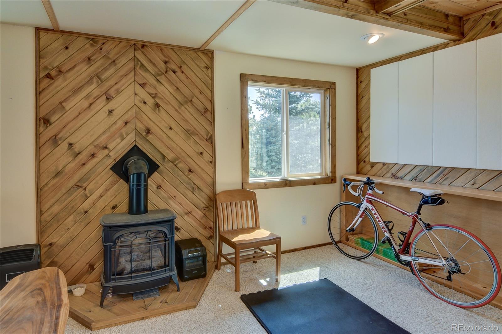 MLS Image #38 for 16525  mt. princeton road,buena vista, Colorado