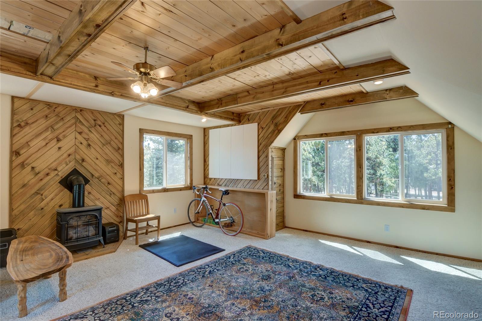 MLS Image #39 for 16525  mt. princeton road,buena vista, Colorado