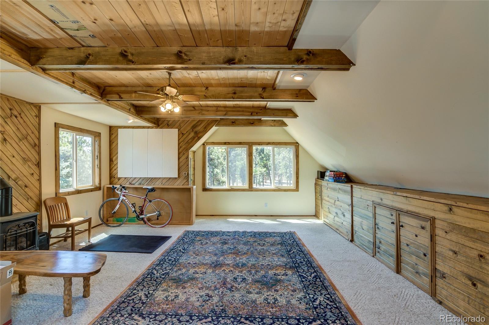 MLS Image #40 for 16525  mt. princeton road,buena vista, Colorado