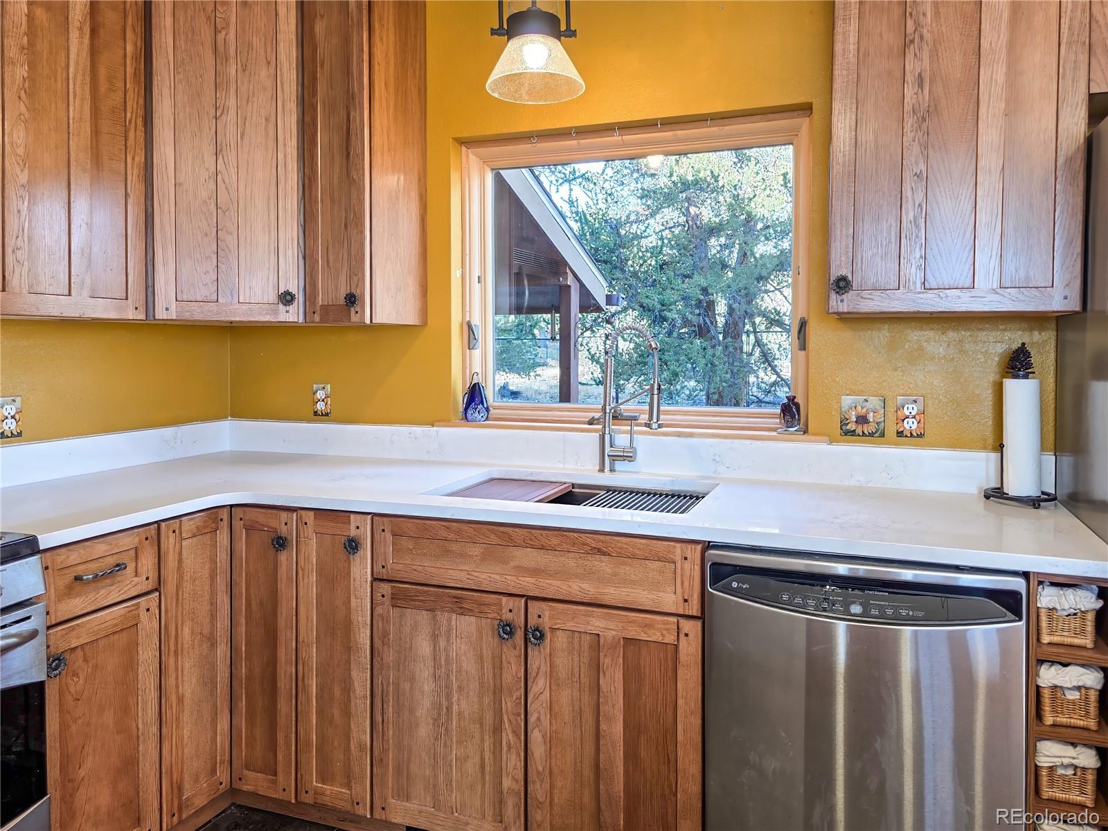 MLS Image #15 for 2020  mullenville road,fairplay, Colorado
