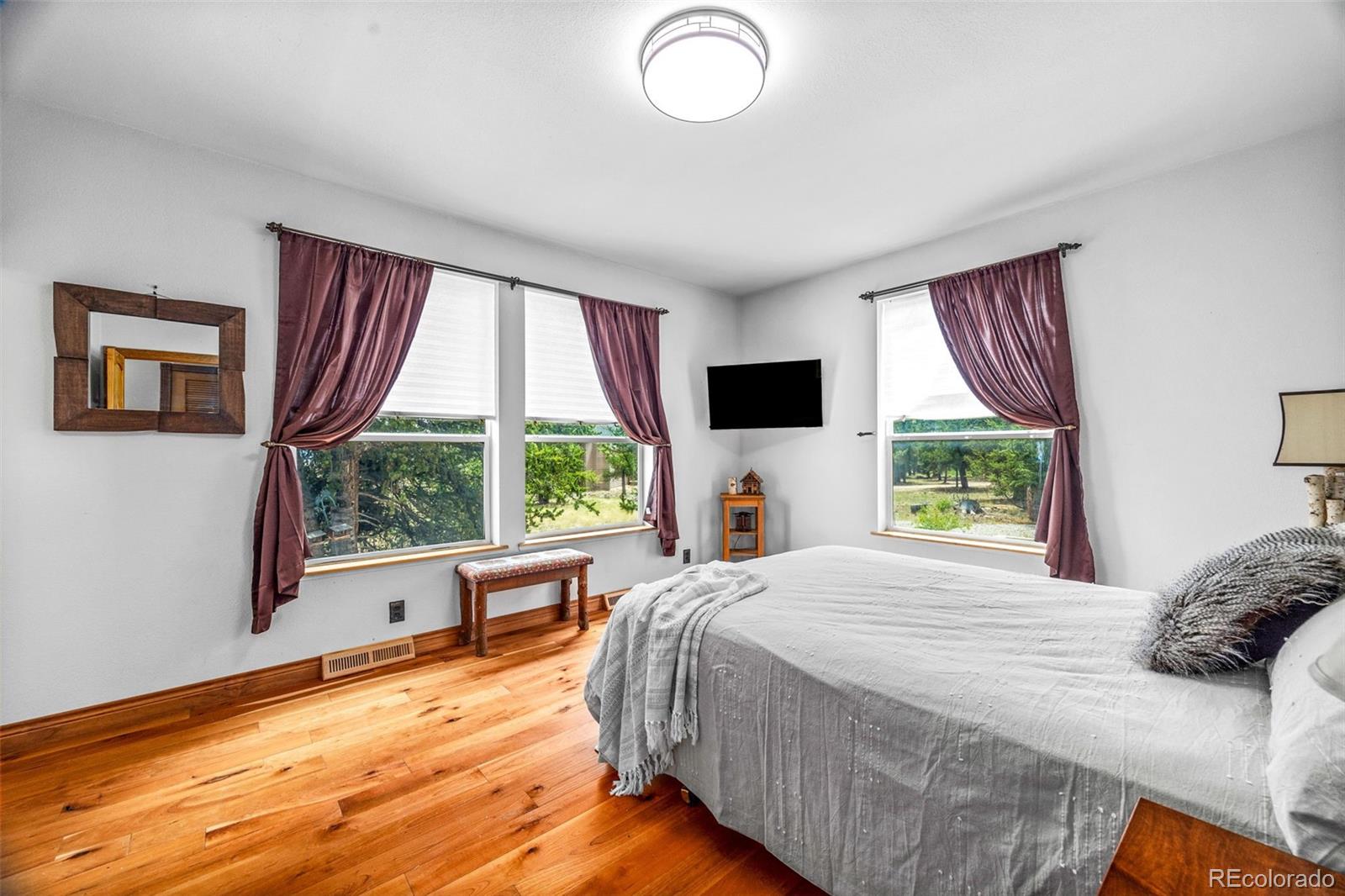 MLS Image #18 for 2020  mullenville road,fairplay, Colorado