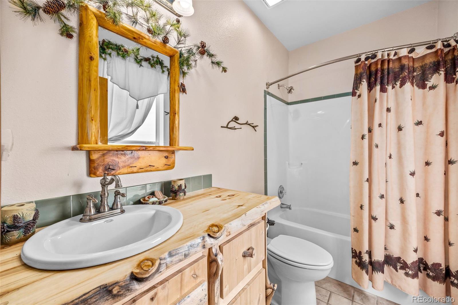 MLS Image #20 for 2020  mullenville road,fairplay, Colorado