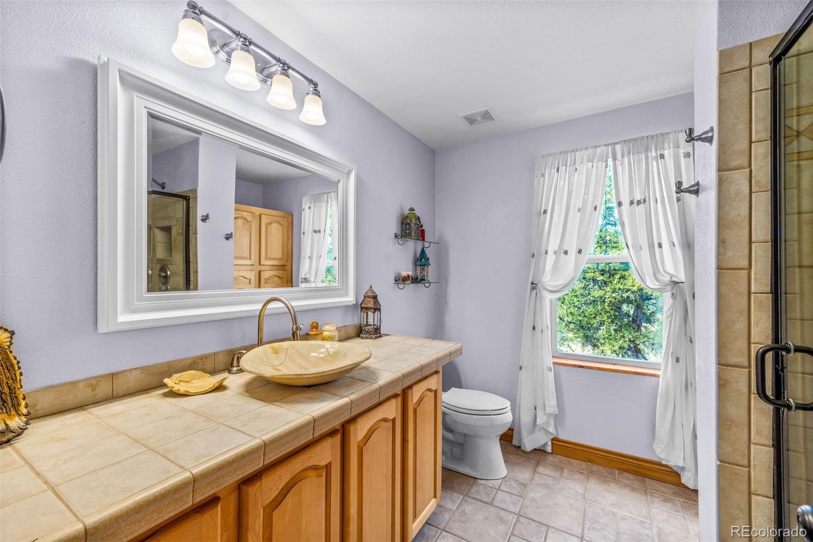 MLS Image #27 for 2020  mullenville road,fairplay, Colorado