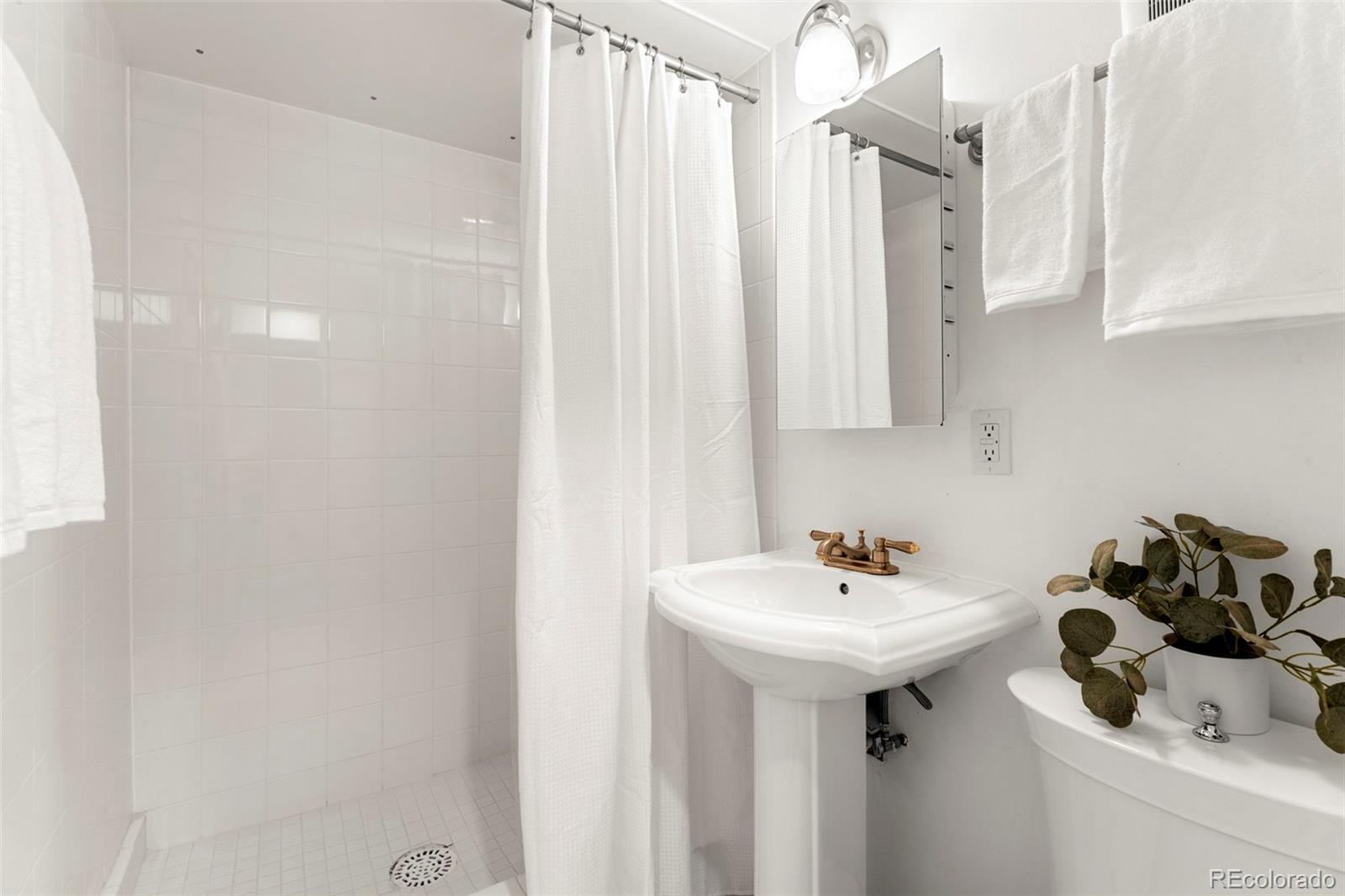 MLS Image #20 for 1420  rosemary street,denver, Colorado