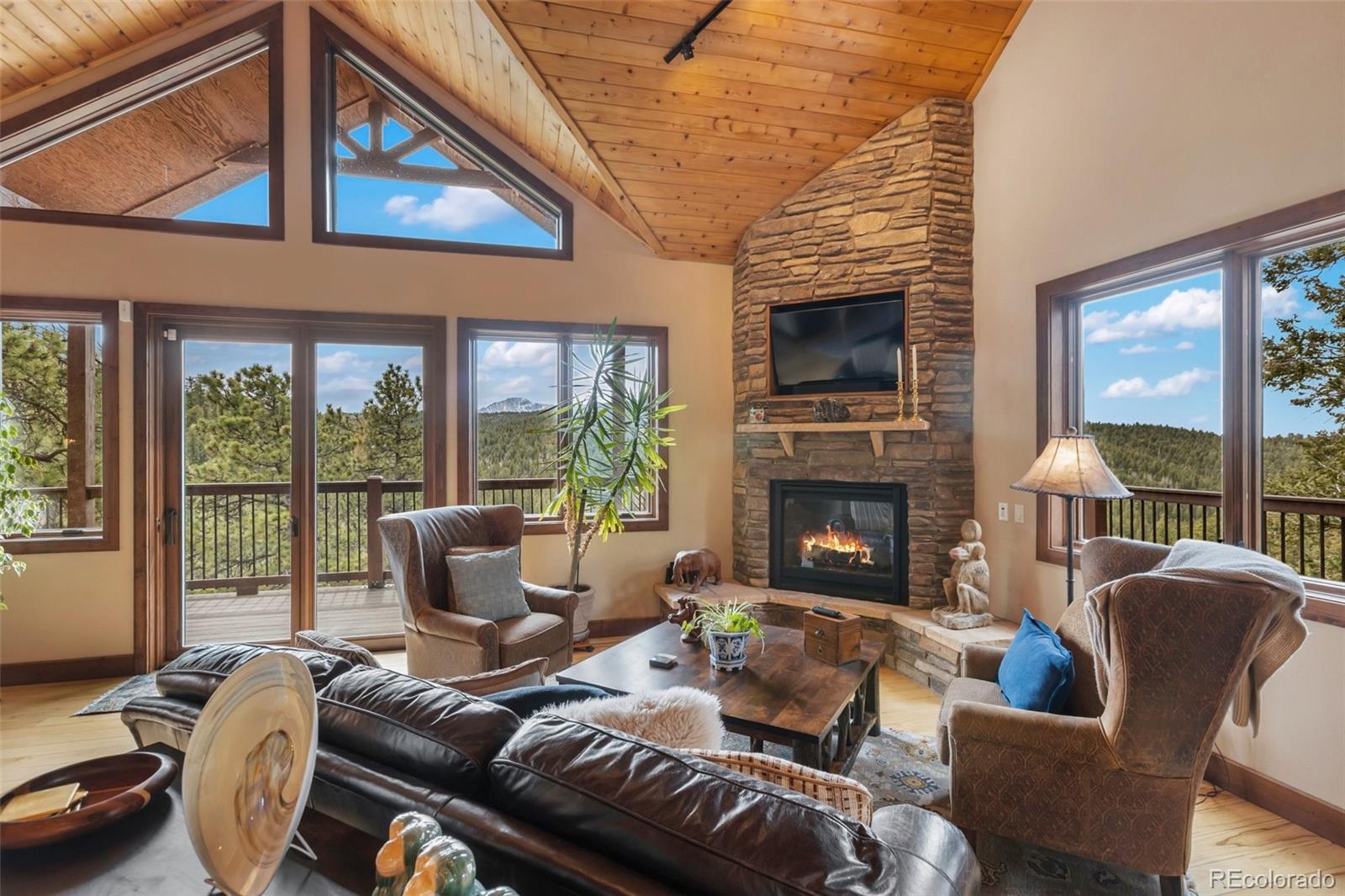 MLS Image #8 for 12810  rampart range road,woodland park, Colorado