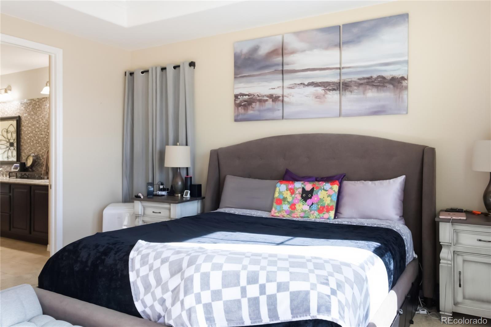MLS Image #13 for 898  eveningsong drive,castle rock, Colorado