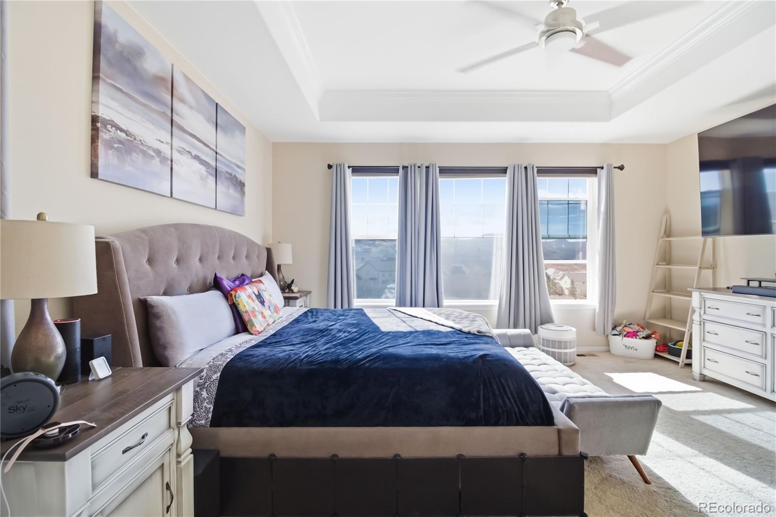 MLS Image #14 for 898  eveningsong drive,castle rock, Colorado