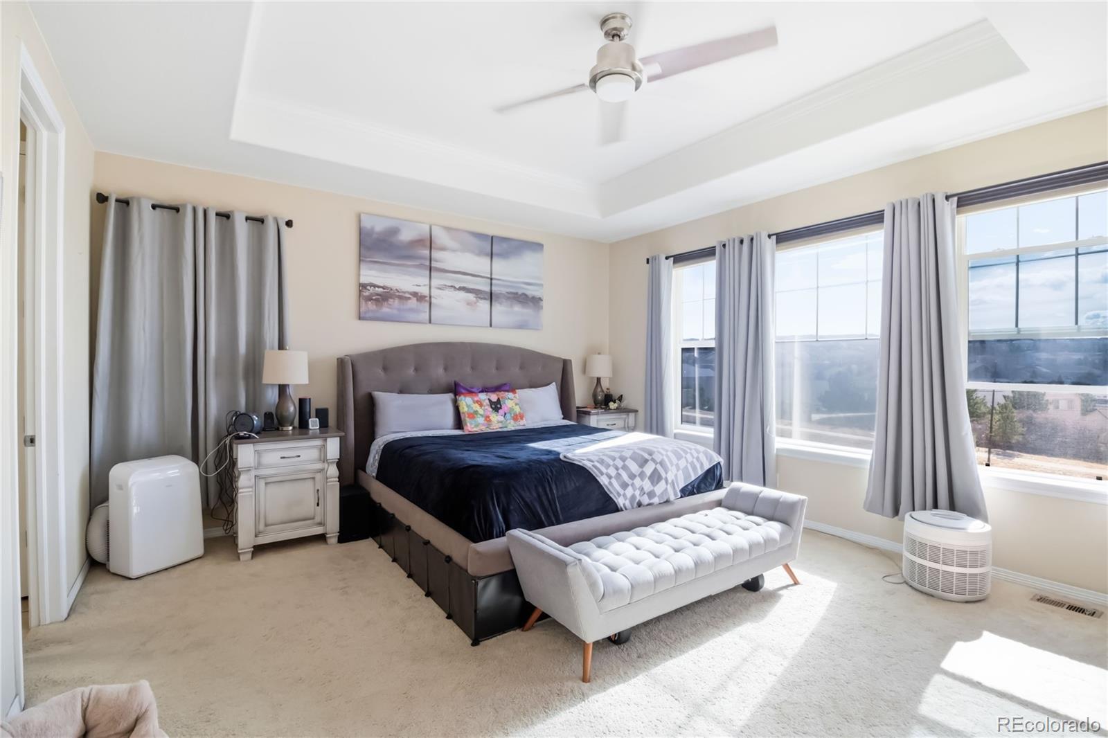 MLS Image #15 for 898  eveningsong drive,castle rock, Colorado