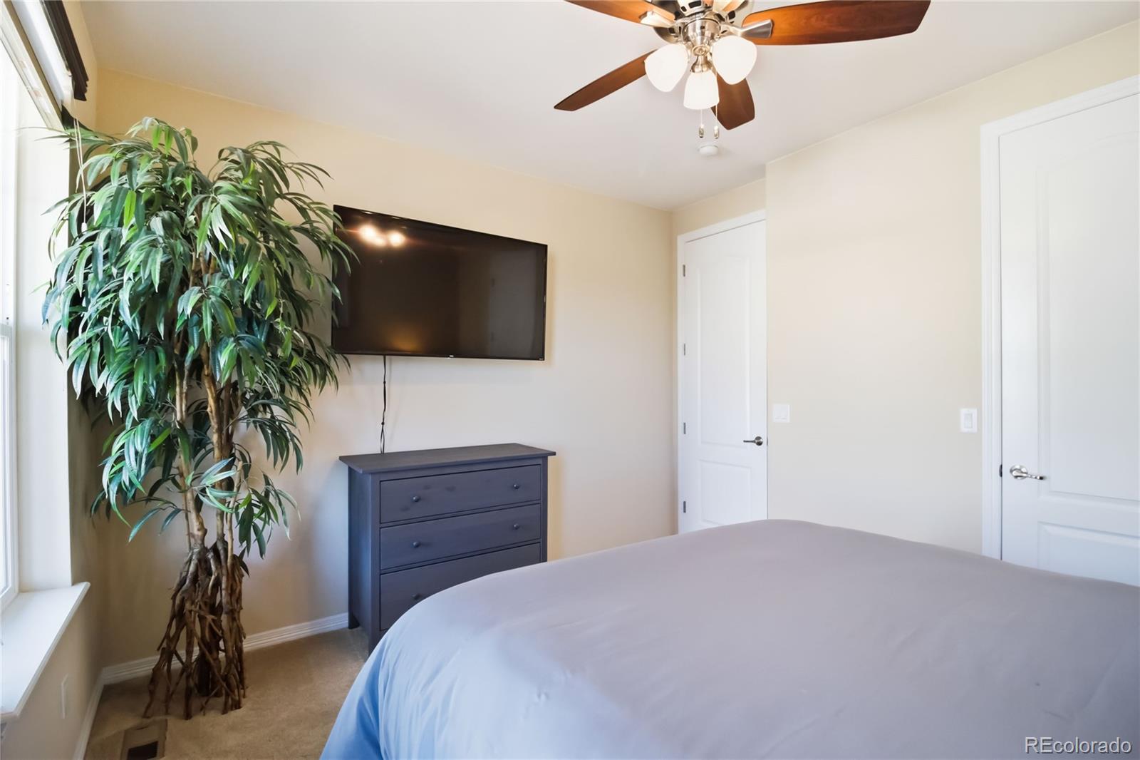 MLS Image #19 for 898  eveningsong drive,castle rock, Colorado