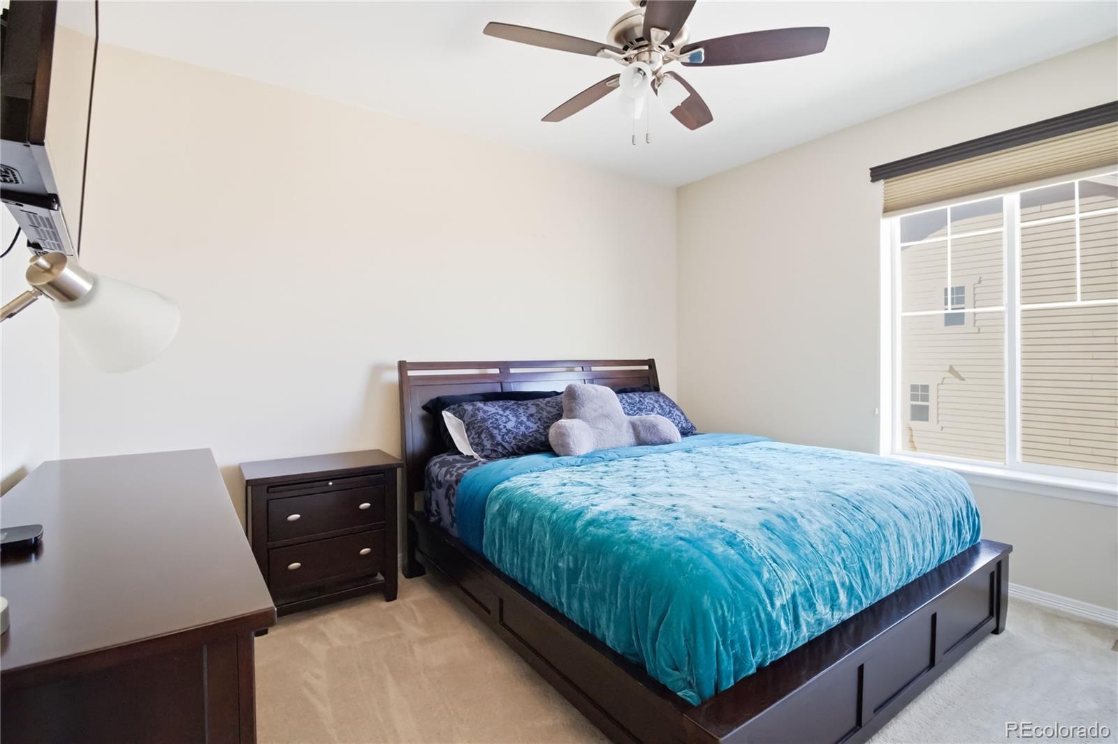 MLS Image #21 for 898  eveningsong drive,castle rock, Colorado