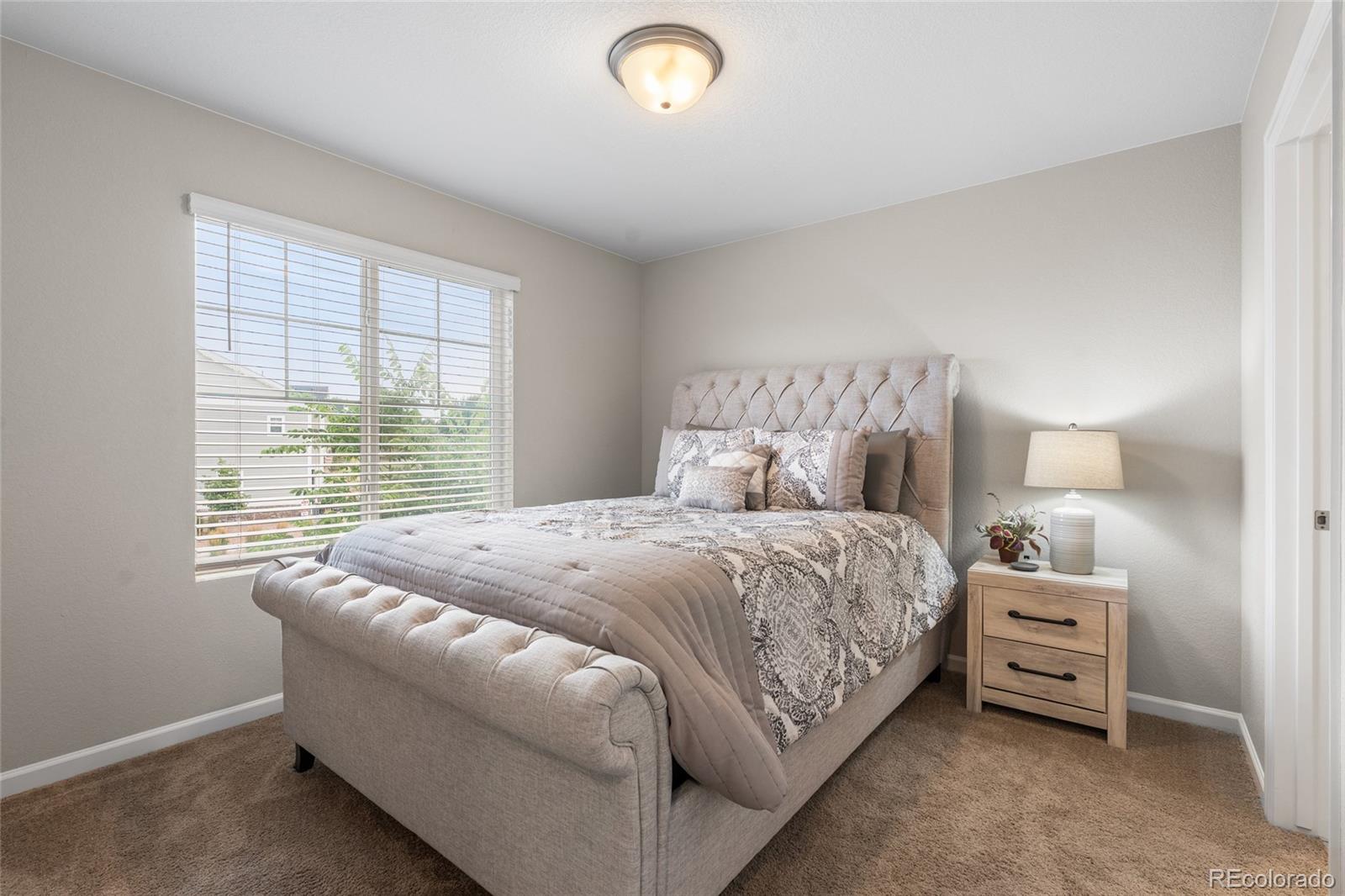 MLS Image #13 for 5939  still meadow place ,castle rock, Colorado