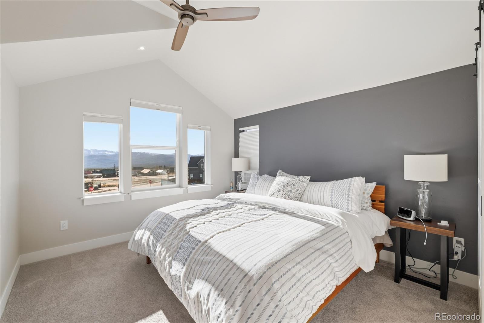 MLS Image #22 for 1206  mineral belt green ,leadville, Colorado