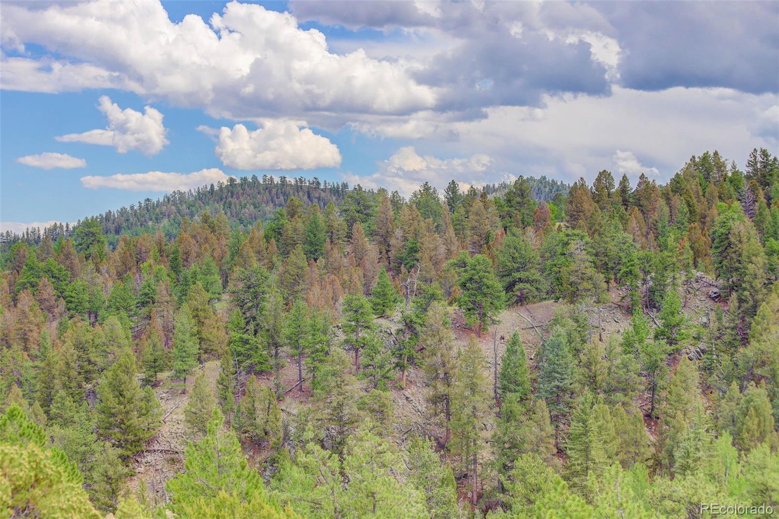 MLS Image #10 for 212  skyhawk lane,guffey, Colorado