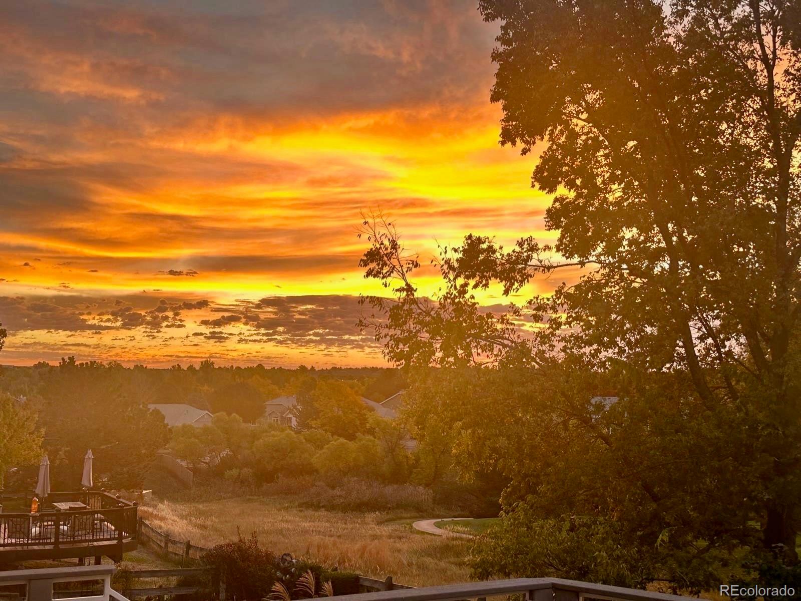 MLS Image #48 for 8642  canongate lane,highlands ranch, Colorado