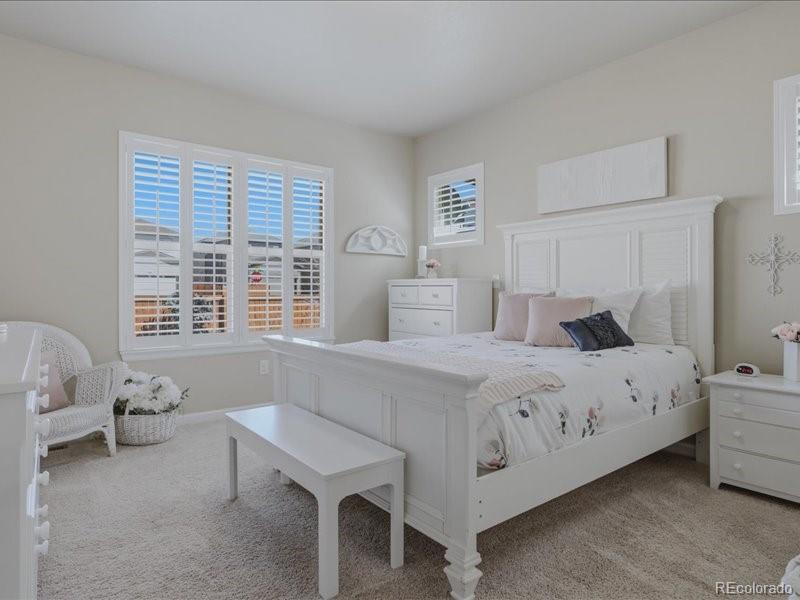 MLS Image #12 for 11852  sandcastle court,parker, Colorado