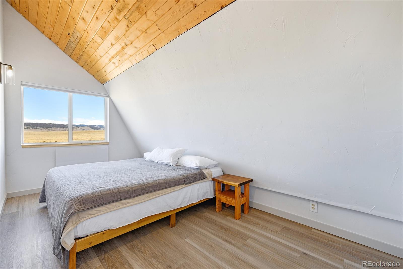 MLS Image #14 for 2125  james lane,fairplay, Colorado