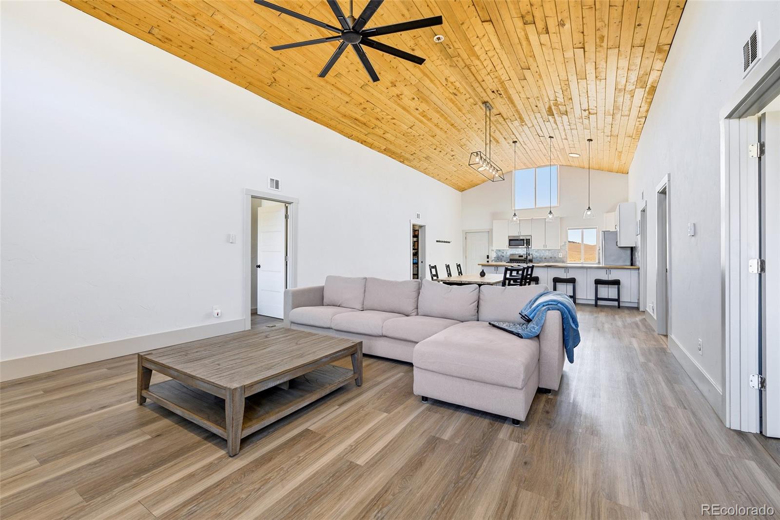 MLS Image #4 for 2125  james lane,fairplay, Colorado