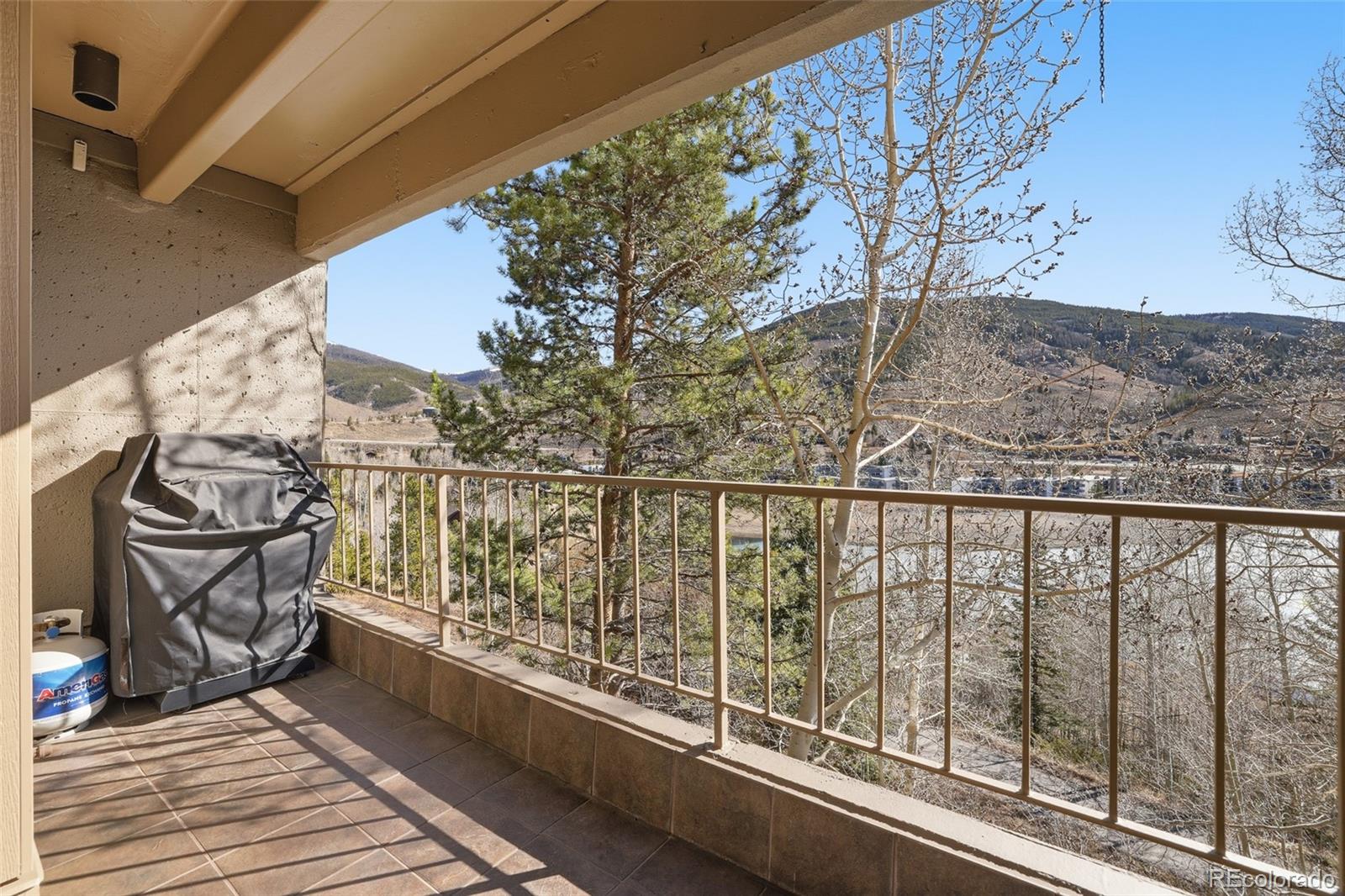 MLS Image #15 for 220 e la bonte street,dillon, Colorado