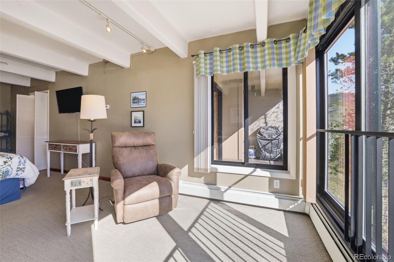 MLS Image #28 for 220 e la bonte street,dillon, Colorado