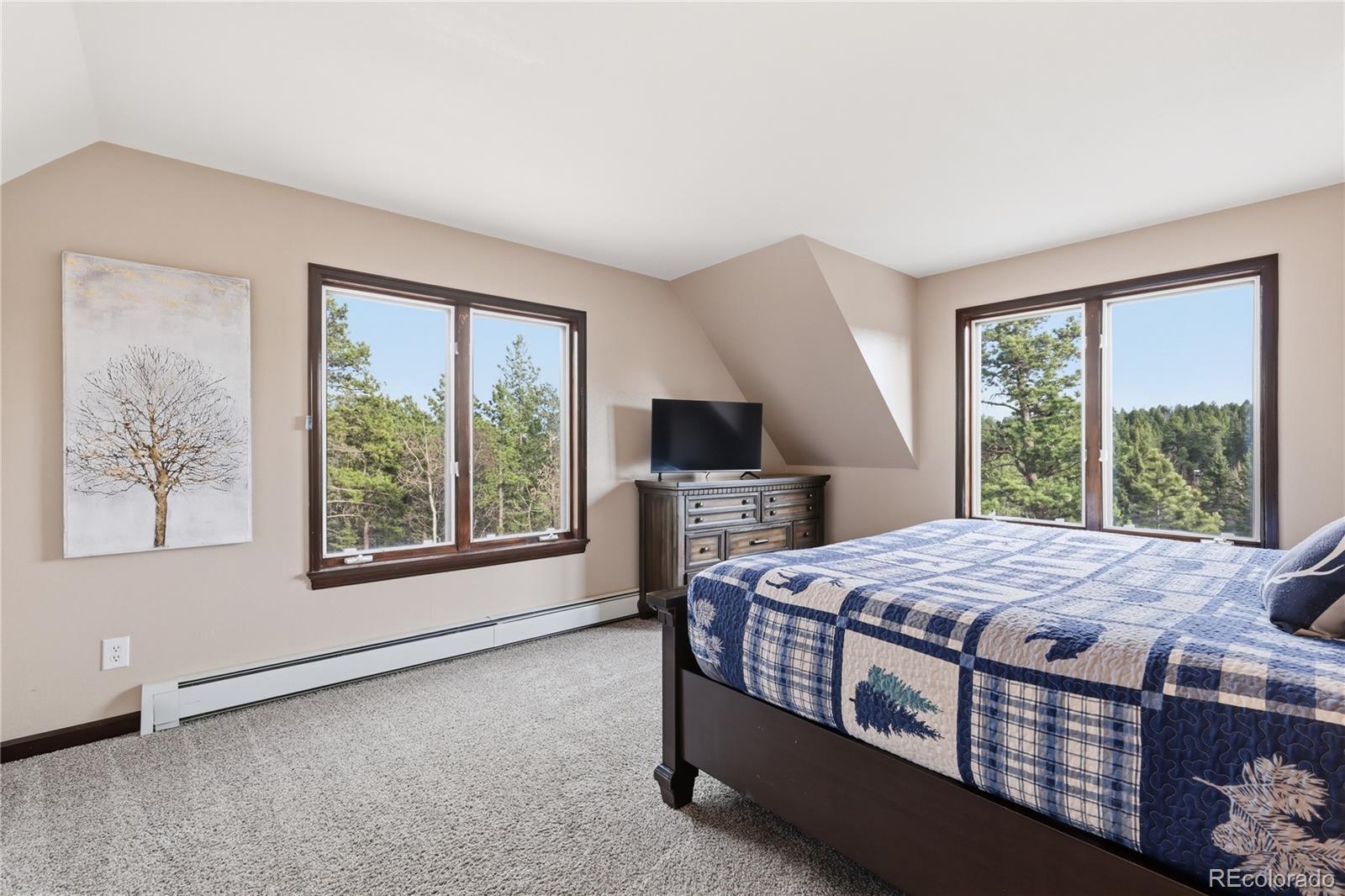 MLS Image #11 for 57  trout creek circle,divide, Colorado