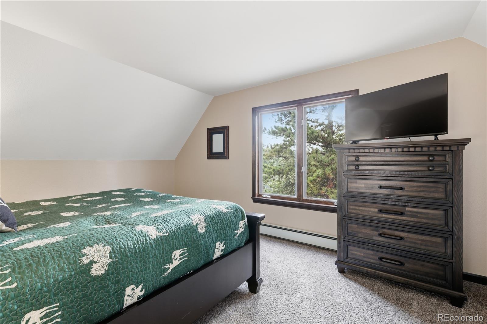 MLS Image #15 for 57  trout creek circle,divide, Colorado