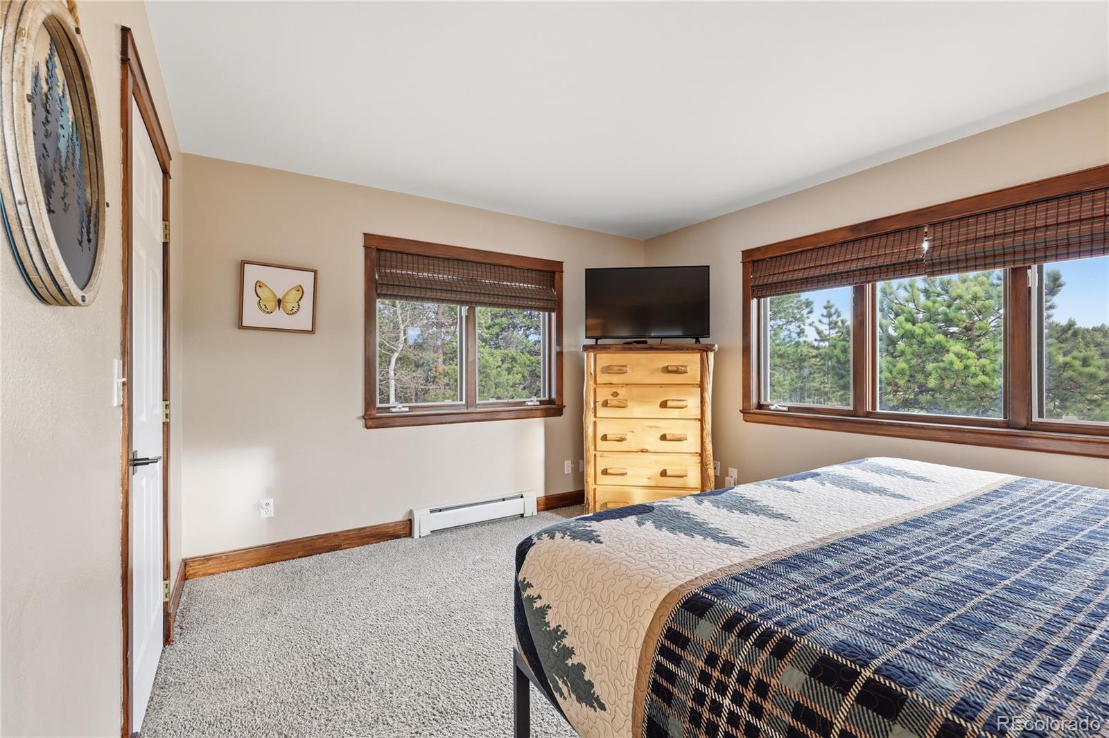 MLS Image #17 for 57  trout creek circle,divide, Colorado