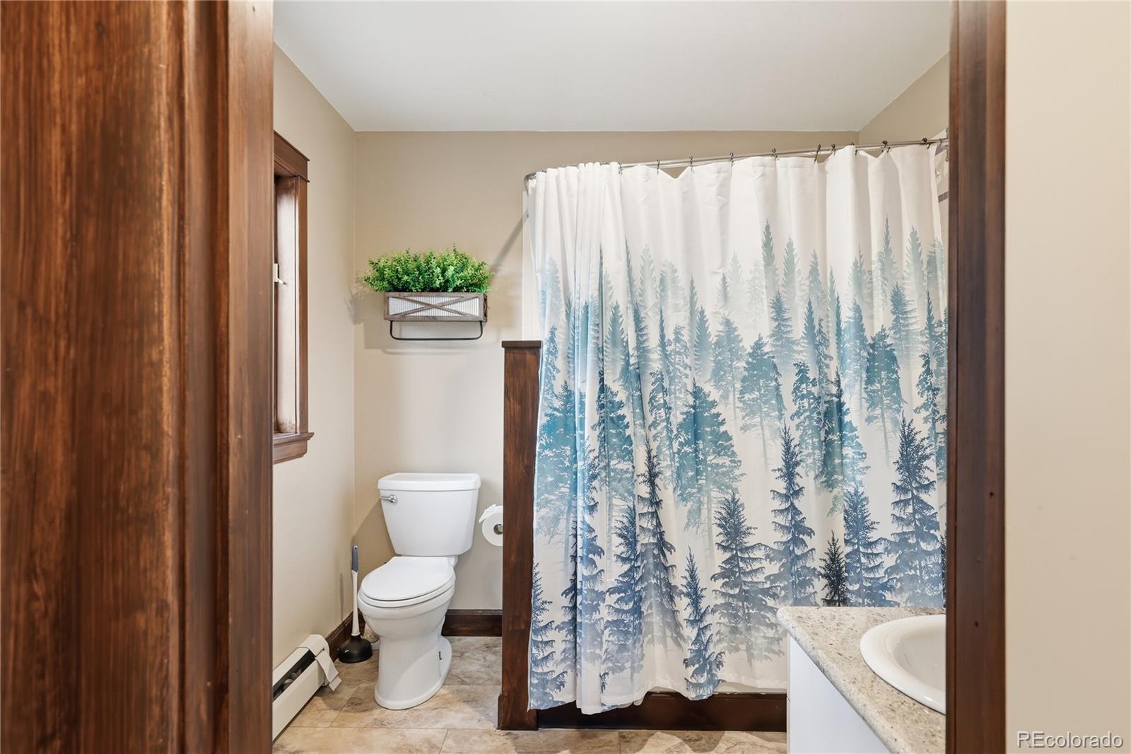 MLS Image #18 for 57  trout creek circle,divide, Colorado