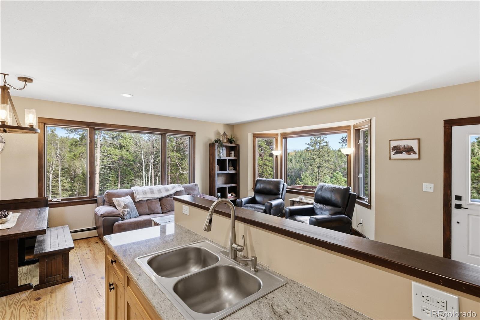 MLS Image #20 for 57  trout creek circle,divide, Colorado