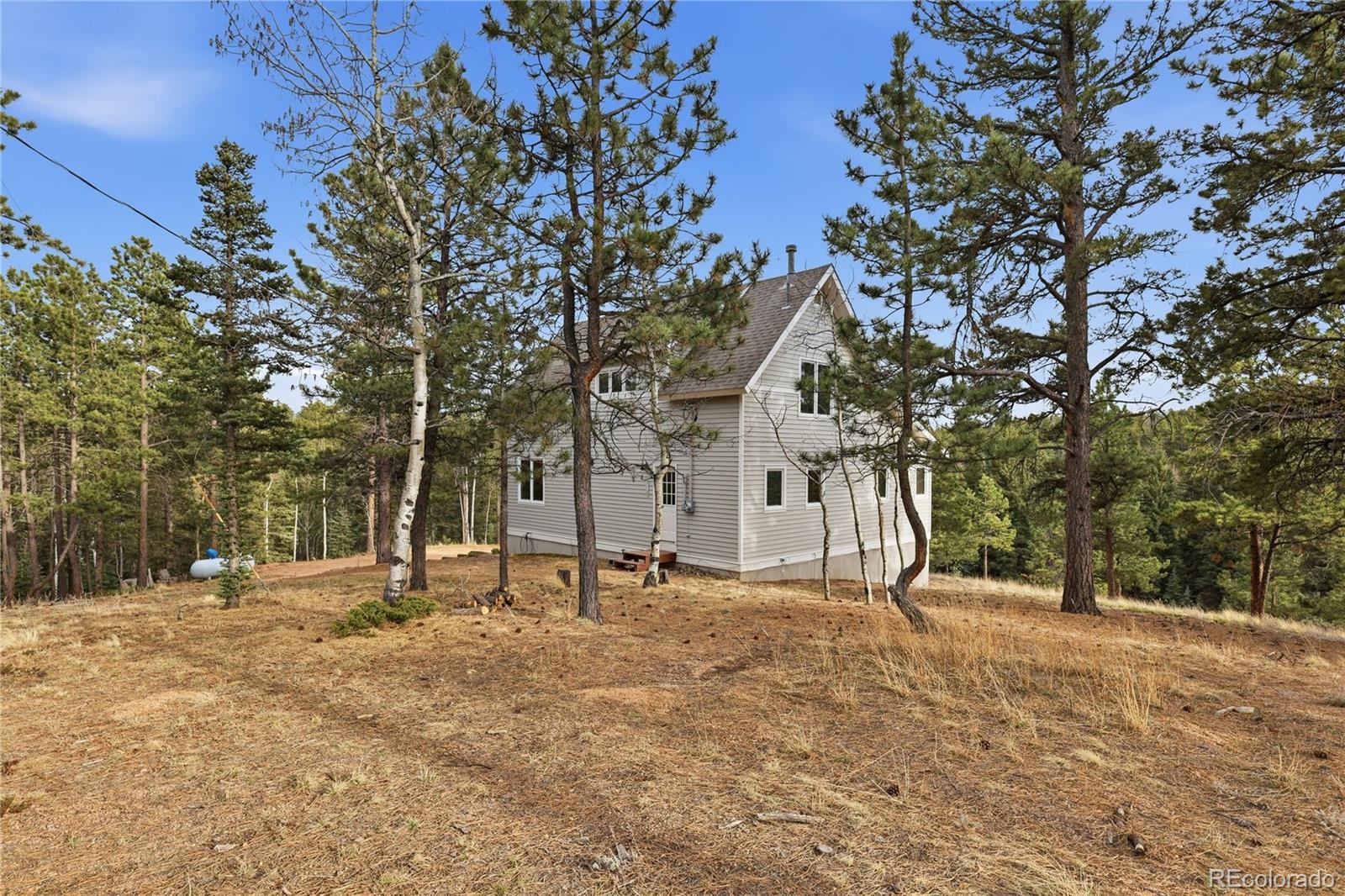MLS Image #29 for 57  trout creek circle,divide, Colorado