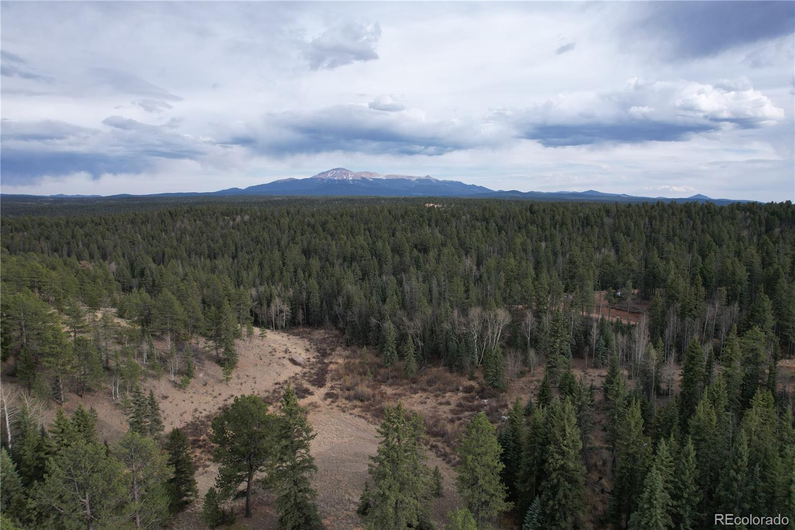 MLS Image #30 for 57  trout creek circle,divide, Colorado